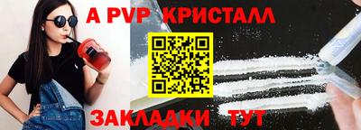 тгк Новозыбков