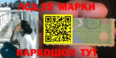 тгк Новозыбков