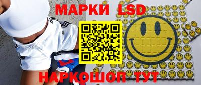 тгк Новозыбков