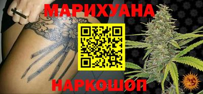 тгк Новозыбков