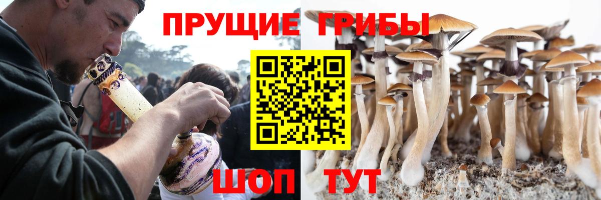 закладка  Вход с VPN  Новочеркасск  Галлюциногенные грибы прущие грибы  Галлюциногенные грибы мухоморы 