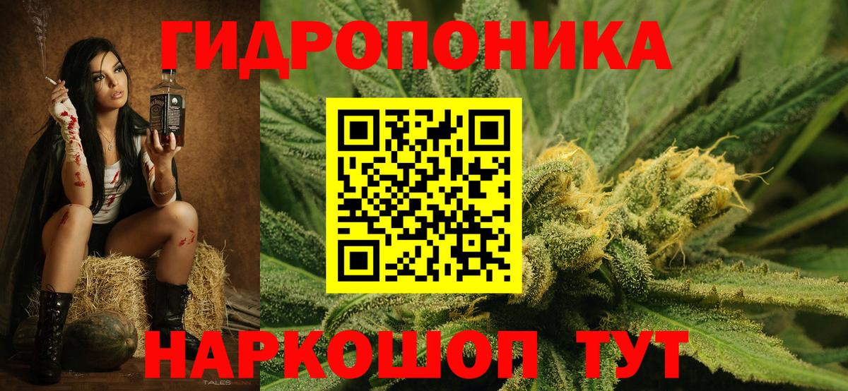  COCAIN Новочеркасск